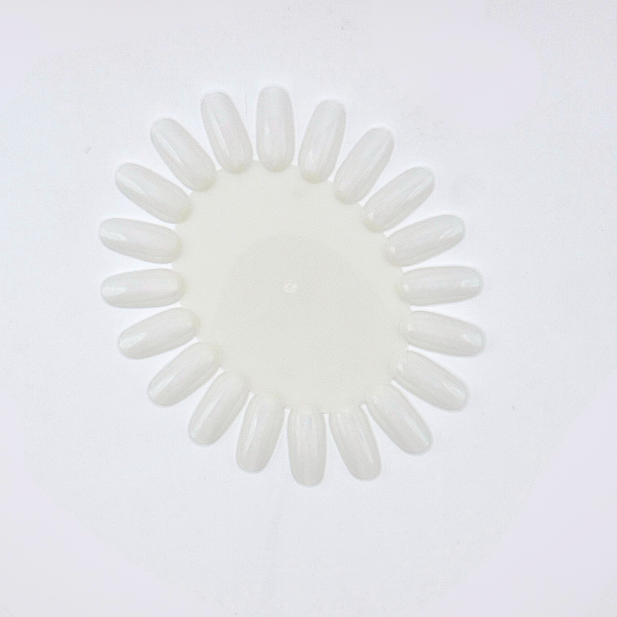 NAIL_DISPLAY_WHEEL_NATURAL.png